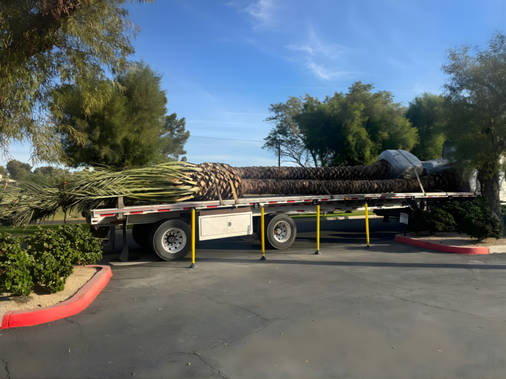 Palm tree delivery truck